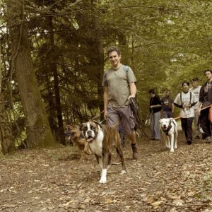 randonnée-chien-whitedog-essonne