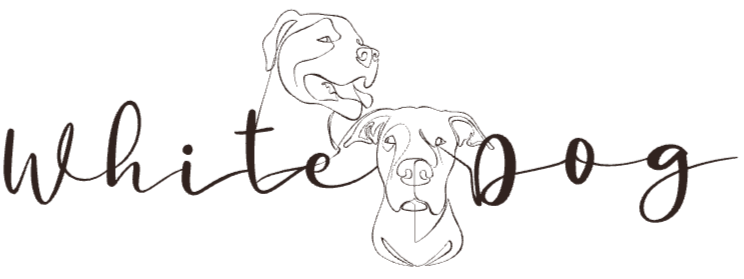 White Dog Educateur Canin