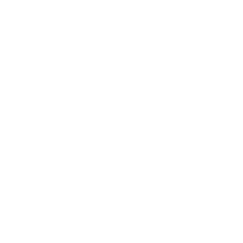 white dog fond blanc